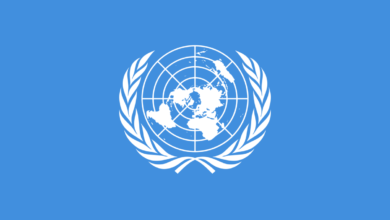 الامم المتحدة